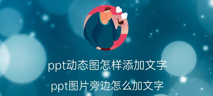 ppt动态图怎样添加文字 ppt图片旁边怎么加文字？